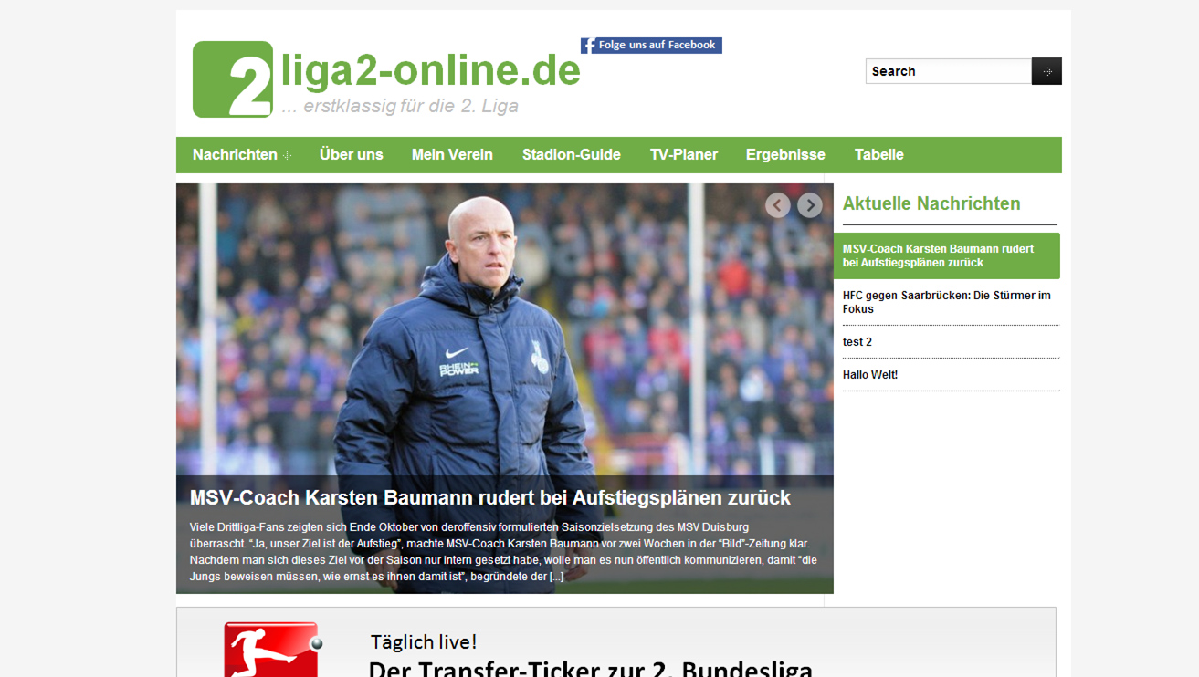 Konzept liga2-online.de